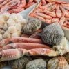 Frozen Seafood