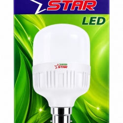 Sanjida Star LED Light 20watt - Local