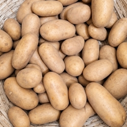 Alu (Potato) 1 Kg - Local