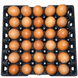 Egg Per Hali - Local