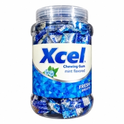 Xcel 1 piece