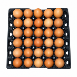 Egg Per Hali - Local